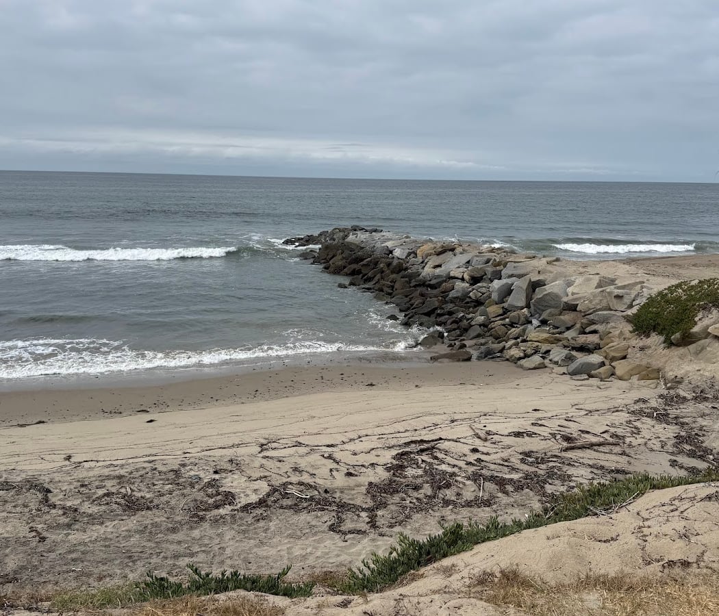Morning of Mindfulness and Dune Restoration 1